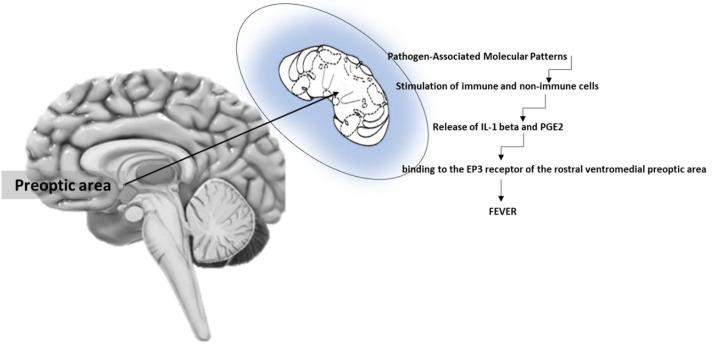 https://cdn.ncbi.nlm.nih.gov/pmc/blobs/25a2/10056708/43c1b03783c1/metabolites-13-00461-g001.jpg
