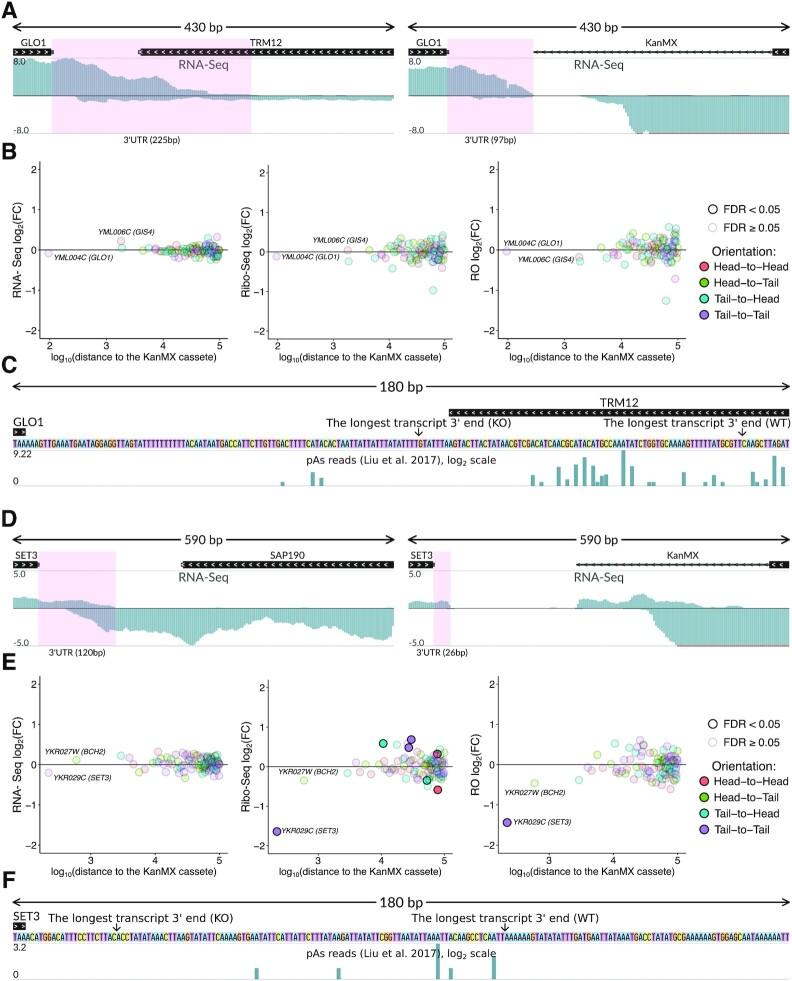 https://cdn.ncbi.nlm.nih.gov/pmc/blobs/25a2/8565318/e2f6d0954371/gkab872fig3.jpg