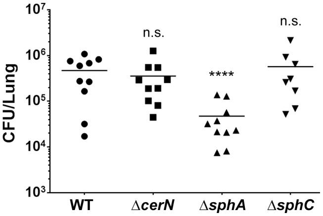 https://cdn.ncbi.nlm.nih.gov/pmc/blobs/25a4/3900636/1f085ed94876/ppat.1003889.g007.jpg