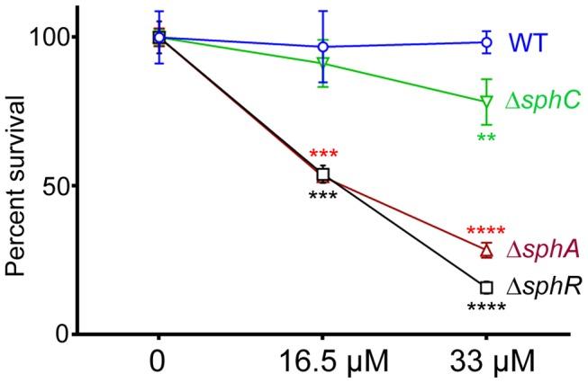 https://cdn.ncbi.nlm.nih.gov/pmc/blobs/25a4/3900636/379eca4b65a2/ppat.1003889.g008.jpg