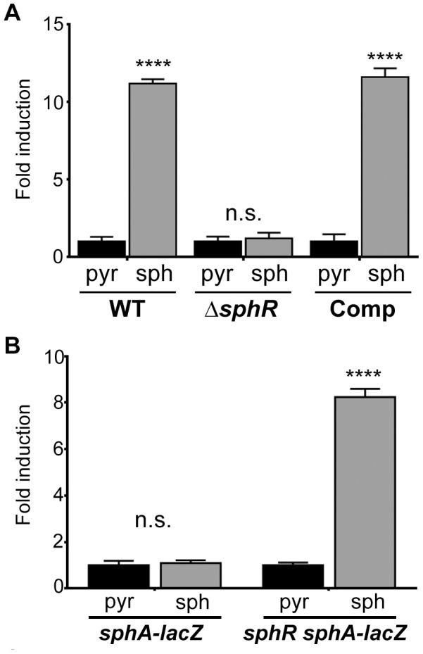 https://cdn.ncbi.nlm.nih.gov/pmc/blobs/25a4/3900636/baaf691312ca/ppat.1003889.g002.jpg