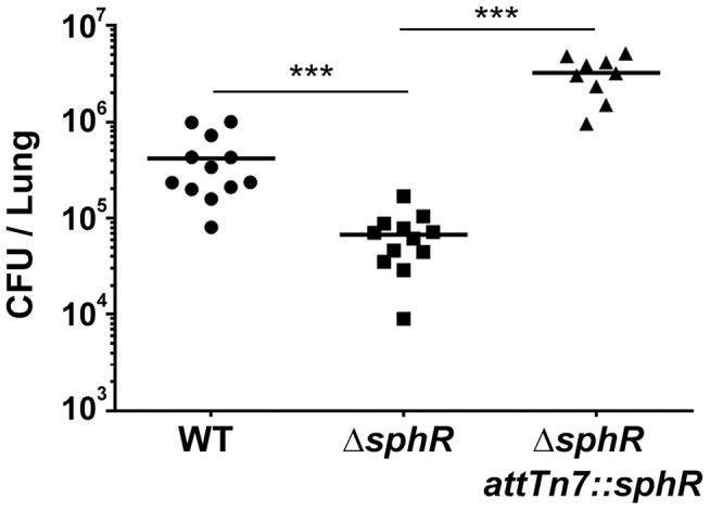 https://cdn.ncbi.nlm.nih.gov/pmc/blobs/25a4/3900636/cf6933be2c9e/ppat.1003889.g003.jpg