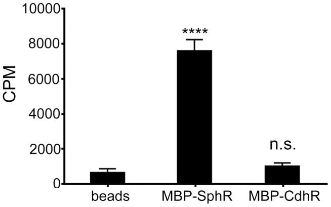 https://cdn.ncbi.nlm.nih.gov/pmc/blobs/25a4/3900636/f098d4349582/ppat.1003889.g006.jpg