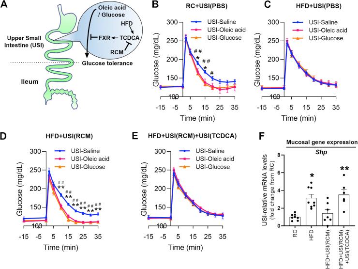 https://cdn.ncbi.nlm.nih.gov/pmc/blobs/25a4/7753965/13a91cc656b3/gr1.jpg