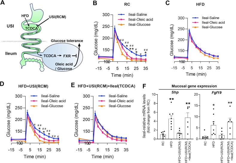 https://cdn.ncbi.nlm.nih.gov/pmc/blobs/25a4/7753965/704825065fae/gr2.jpg