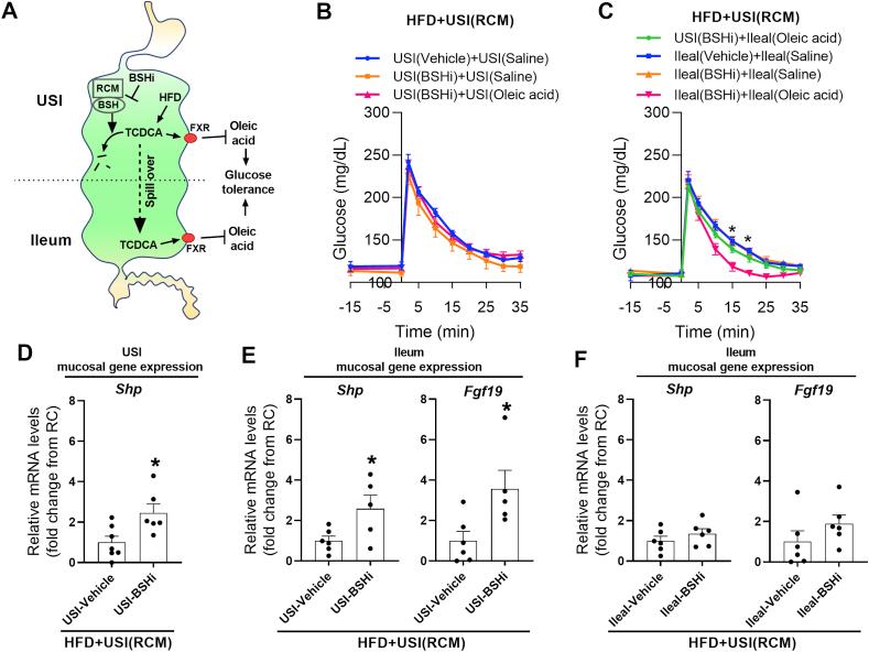 https://cdn.ncbi.nlm.nih.gov/pmc/blobs/25a4/7753965/9ab07d0de24c/gr4.jpg