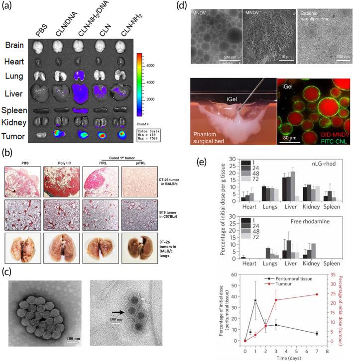 https://cdn.ncbi.nlm.nih.gov/pmc/blobs/25a6/10905562/484dd3d8670c/BTM2-9-e10601-g006.jpg