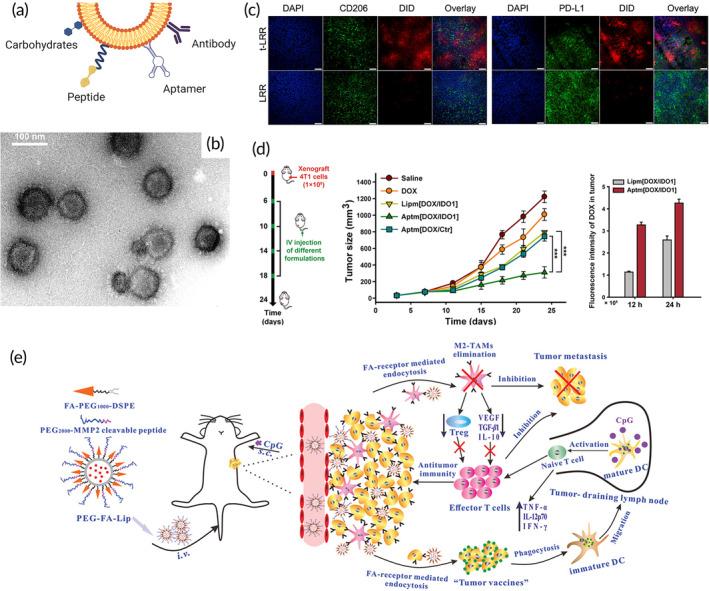 https://cdn.ncbi.nlm.nih.gov/pmc/blobs/25a6/10905562/d213d1ec778f/BTM2-9-e10601-g002.jpg