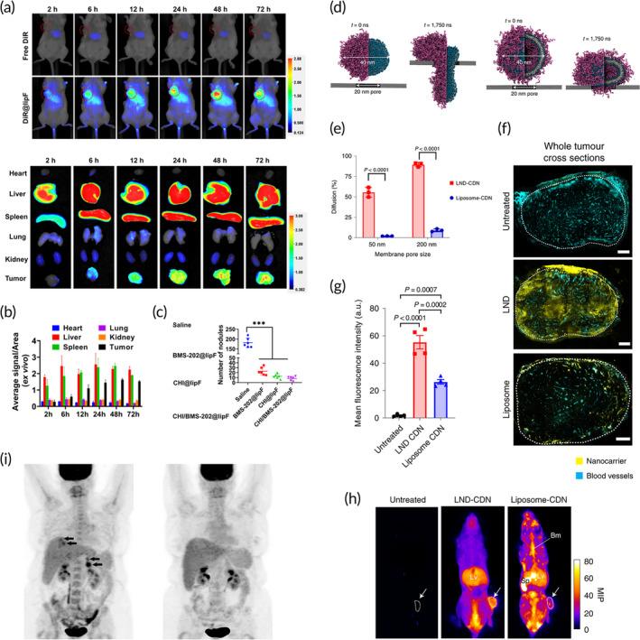 https://cdn.ncbi.nlm.nih.gov/pmc/blobs/25a6/10905562/f8548ec5244a/BTM2-9-e10601-g007.jpg