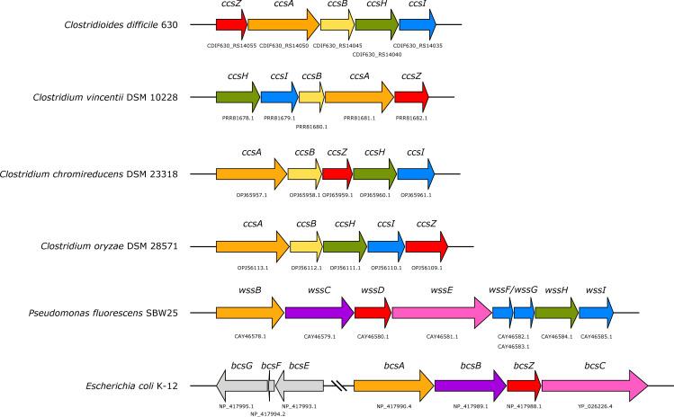 https://cdn.ncbi.nlm.nih.gov/pmc/blobs/25a8/7710045/156ab7d7a919/pone.0242686.g001.jpg