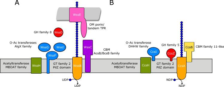 https://cdn.ncbi.nlm.nih.gov/pmc/blobs/25a8/7710045/ea02efb745bf/pone.0242686.g002.jpg