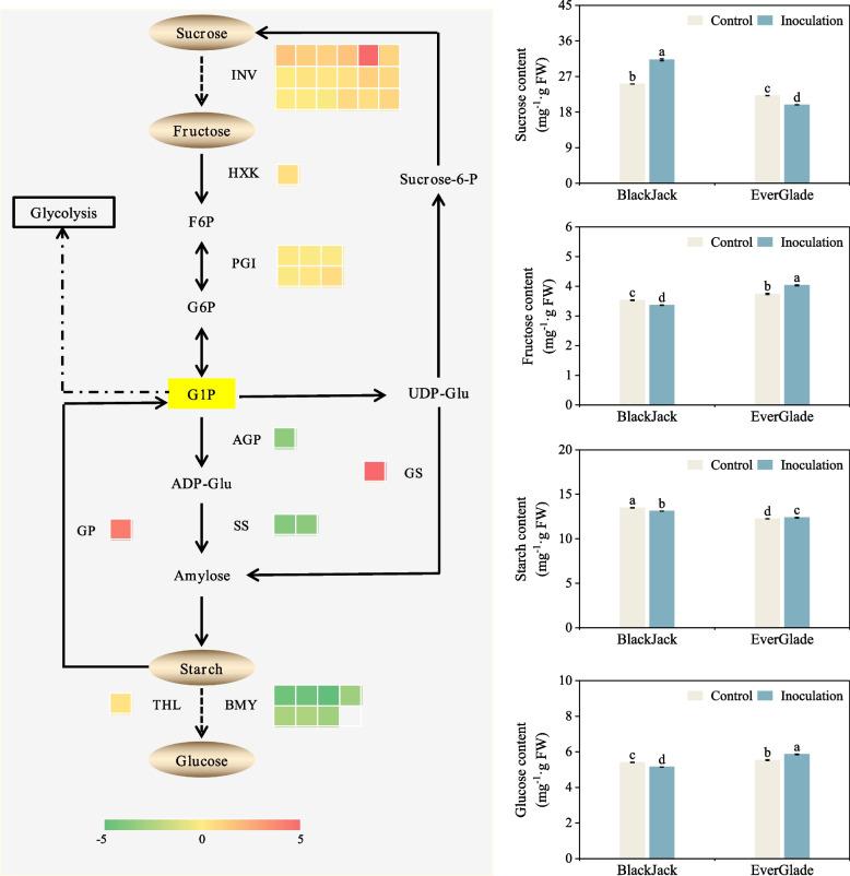 https://cdn.ncbi.nlm.nih.gov/pmc/blobs/25a8/9628184/58a367027687/12870_2022_3883_Fig6_HTML.jpg