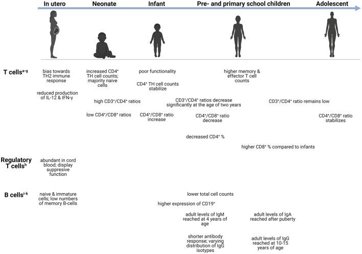 https://cdn.ncbi.nlm.nih.gov/pmc/blobs/25a9/8818751/6b5105e4dbc3/fneur-12-805643-g0002.jpg