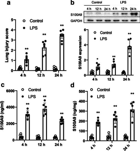 https://cdn.ncbi.nlm.nih.gov/pmc/blobs/25aa/7866705/a8ec5b516797/12931_2021_1641_Fig1_HTML.jpg