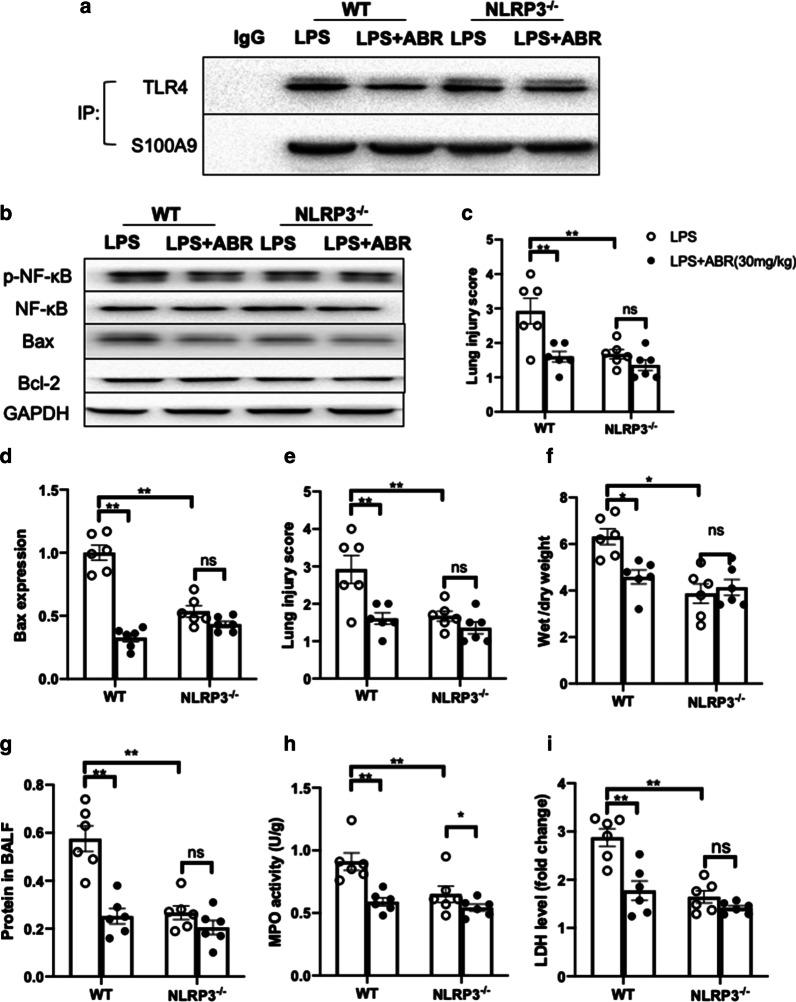 https://cdn.ncbi.nlm.nih.gov/pmc/blobs/25aa/7866705/f64e8c778598/12931_2021_1641_Fig6_HTML.jpg