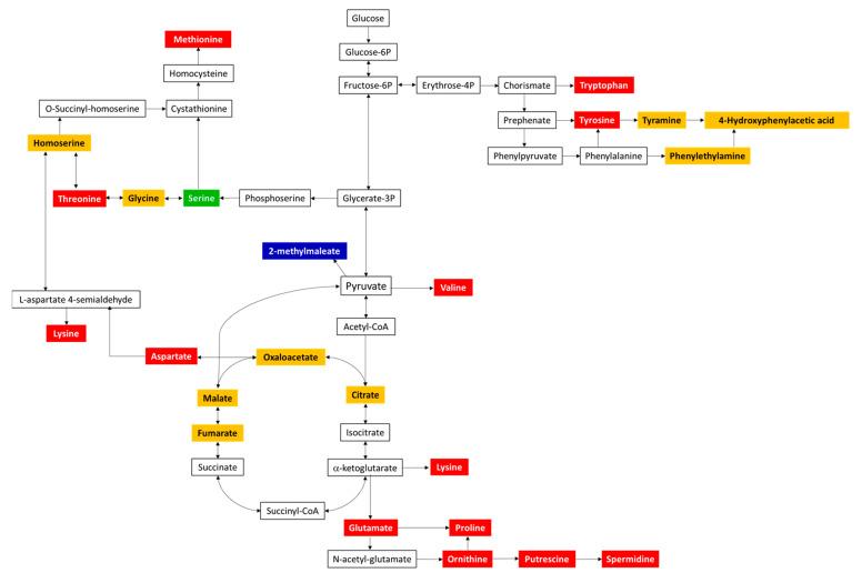 https://cdn.ncbi.nlm.nih.gov/pmc/blobs/25aa/7911566/e302fb84e6df/metabolites-11-00067-g011.jpg