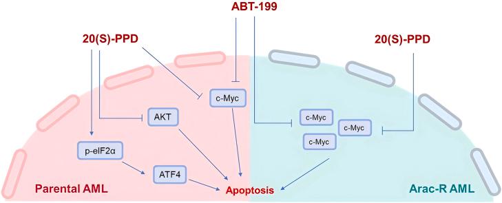 https://cdn.ncbi.nlm.nih.gov/pmc/blobs/25ab/12125586/48226b1886a2/ga1.jpg