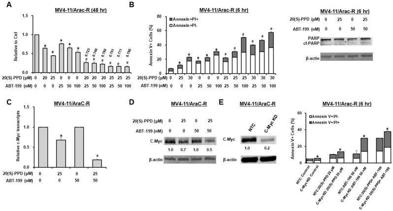 https://cdn.ncbi.nlm.nih.gov/pmc/blobs/25ab/12125586/626a05081d94/gr6.jpg