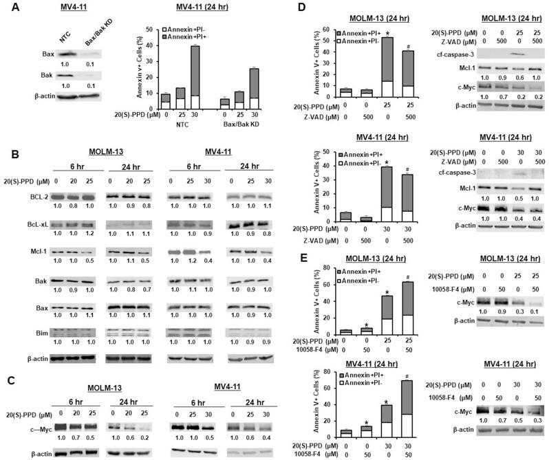 https://cdn.ncbi.nlm.nih.gov/pmc/blobs/25ab/12125586/6baa13cb643c/gr3.jpg