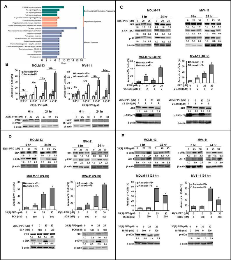 https://cdn.ncbi.nlm.nih.gov/pmc/blobs/25ab/12125586/fb5974fe7a45/gr2.jpg