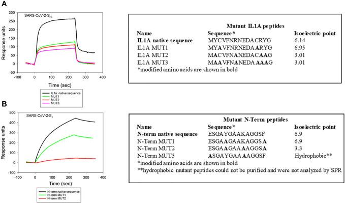 https://cdn.ncbi.nlm.nih.gov/pmc/blobs/25ac/11063343/df9ca258d13a/fcimb-14-1334224-g005.jpg