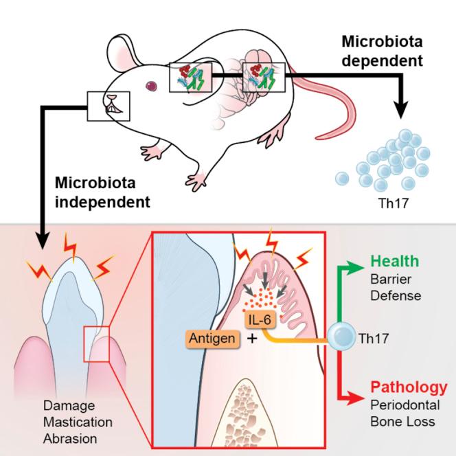 https://cdn.ncbi.nlm.nih.gov/pmc/blobs/25ac/5263257/5afbbed72e40/fx1.jpg