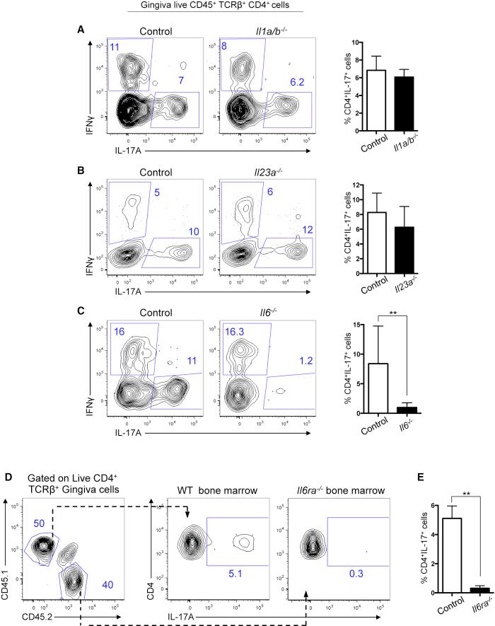 https://cdn.ncbi.nlm.nih.gov/pmc/blobs/25ac/5263257/f623b9a16cb4/gr4.jpg