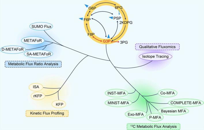 https://cdn.ncbi.nlm.nih.gov/pmc/blobs/25ac/9493264/06a58f96ff45/fnmol-15-883466-g001.jpg