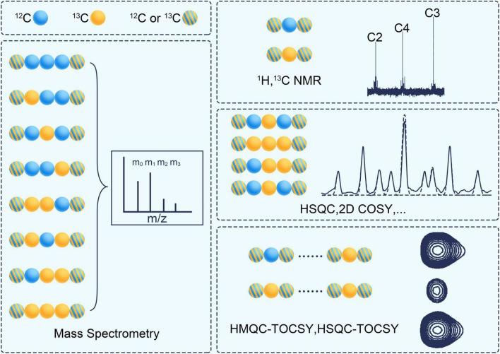 https://cdn.ncbi.nlm.nih.gov/pmc/blobs/25ac/9493264/e8c9cdcc0eac/fnmol-15-883466-g005.jpg