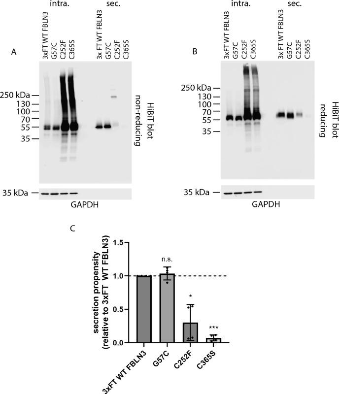 https://cdn.ncbi.nlm.nih.gov/pmc/blobs/25ad/12357890/2ce0ad363d54/41598_2025_14561_Fig2_HTML.jpg