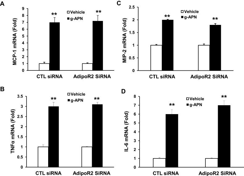 https://cdn.ncbi.nlm.nih.gov/pmc/blobs/25ae/7997606/86a309a48e7e/JIR-14-981-g0008.jpg