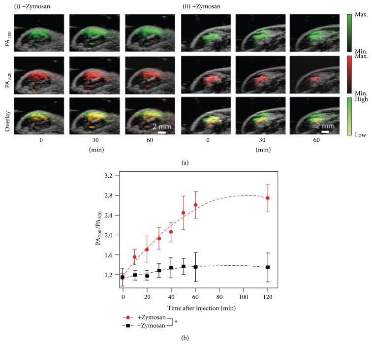 https://cdn.ncbi.nlm.nih.gov/pmc/blobs/25b0/4644549/f6c3138cef71/BMRI2015-757101.006.jpg