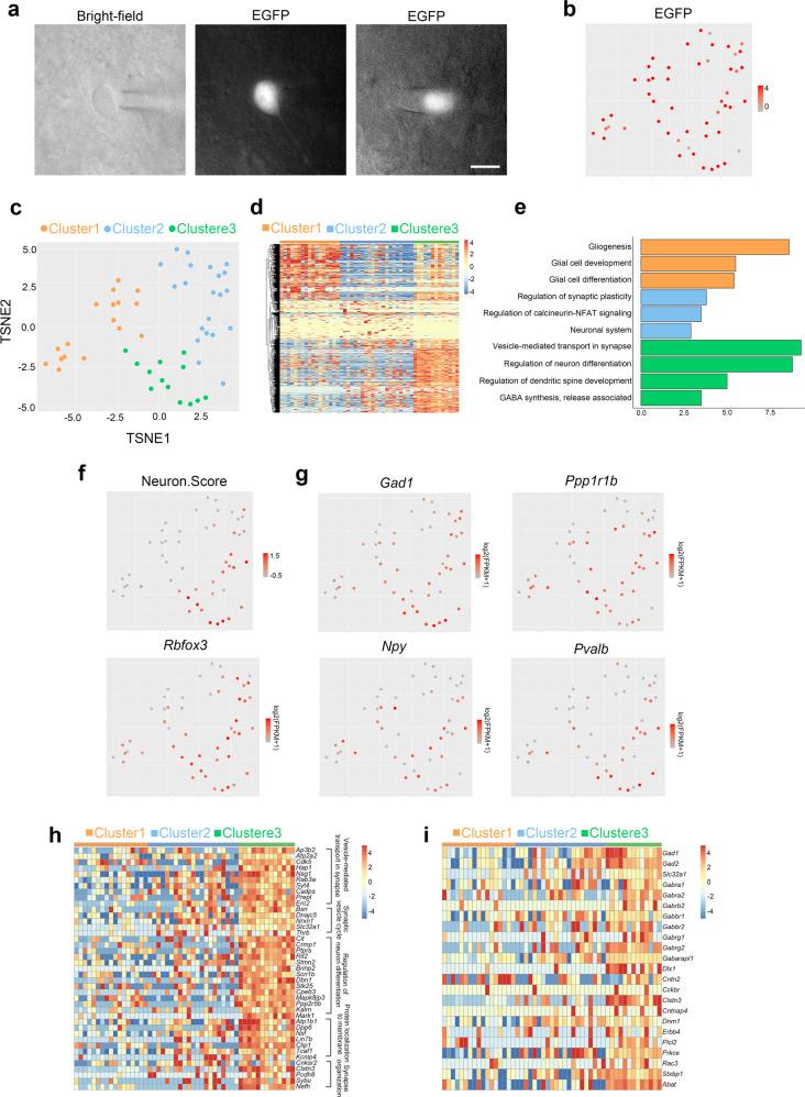 https://cdn.ncbi.nlm.nih.gov/pmc/blobs/25b0/7921425/6df697ba00bd/41421_2021_243_Fig3_HTML.jpg