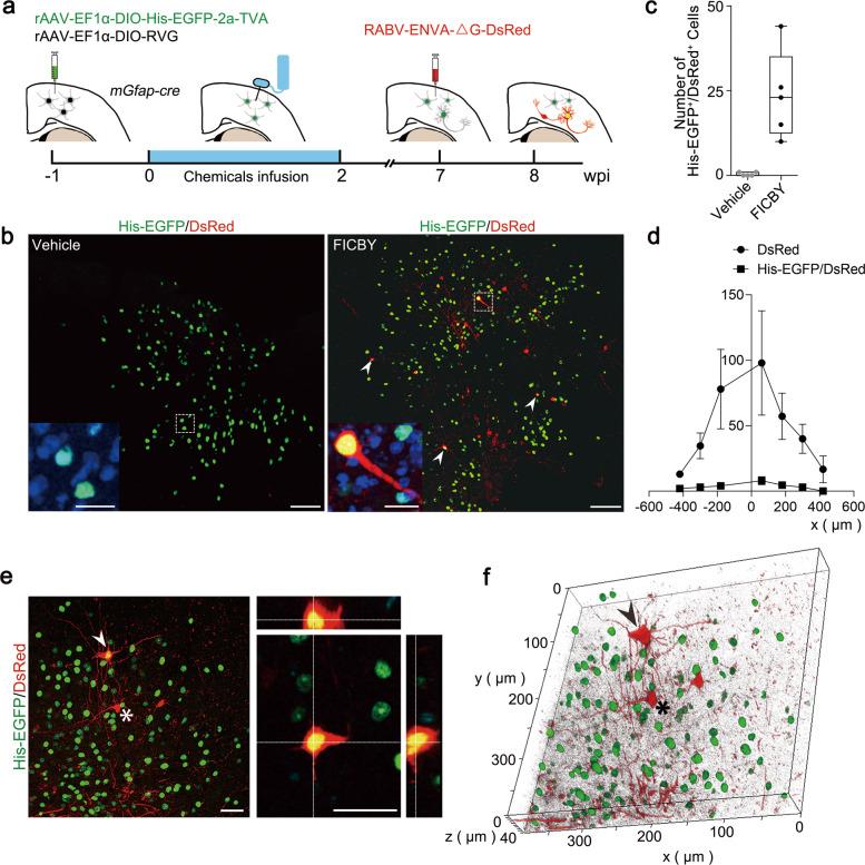 https://cdn.ncbi.nlm.nih.gov/pmc/blobs/25b0/7921425/9aff549daaef/41421_2021_243_Fig4_HTML.jpg