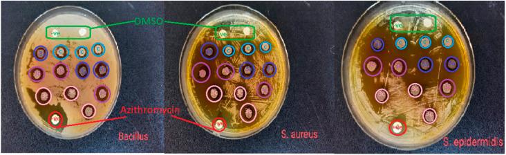 https://cdn.ncbi.nlm.nih.gov/pmc/blobs/25b1/10668576/2ef2d5d33731/d3ra06469g-f4.jpg