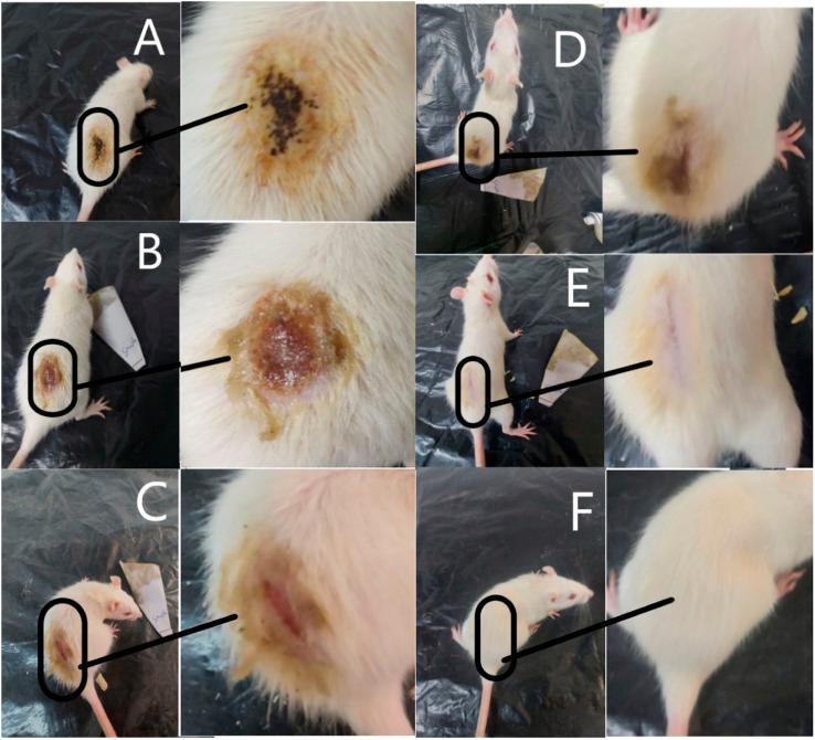 https://cdn.ncbi.nlm.nih.gov/pmc/blobs/25b1/10668576/eb197f1e54ec/d3ra06469g-f5.jpg
