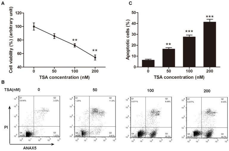 https://cdn.ncbi.nlm.nih.gov/pmc/blobs/25b1/5118776/068f02bc9479/ijbsv12p1298g004.jpg
