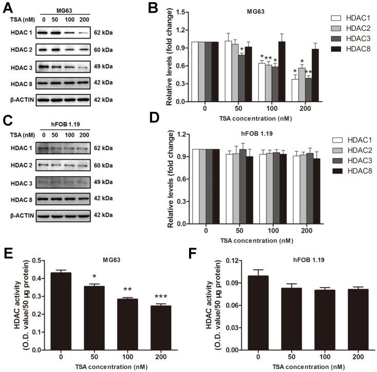 https://cdn.ncbi.nlm.nih.gov/pmc/blobs/25b1/5118776/b624784b9888/ijbsv12p1298g003.jpg
