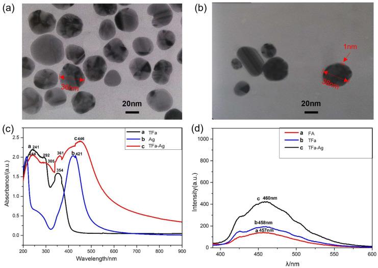 https://cdn.ncbi.nlm.nih.gov/pmc/blobs/25b3/10343342/12c3932ef39e/molecules-28-05228-g003.jpg