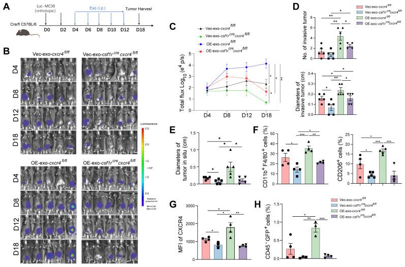 https://cdn.ncbi.nlm.nih.gov/pmc/blobs/25b7/12316027/1c22092b85a2/thnov15p7709g007.jpg