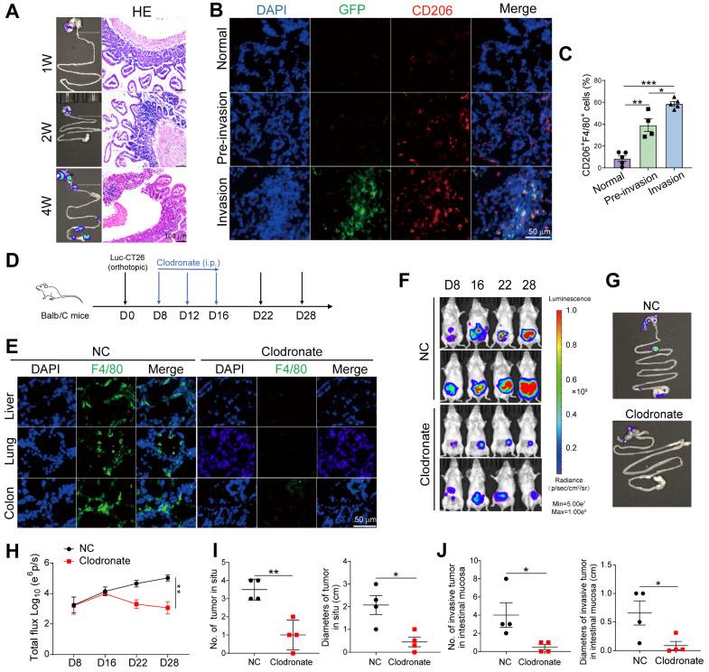 https://cdn.ncbi.nlm.nih.gov/pmc/blobs/25b7/12316027/2f67441cac3c/thnov15p7709g002.jpg