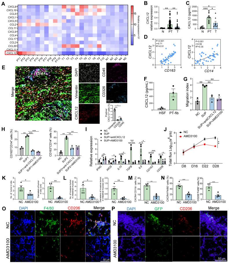 https://cdn.ncbi.nlm.nih.gov/pmc/blobs/25b7/12316027/5b912f1d6956/thnov15p7709g003.jpg