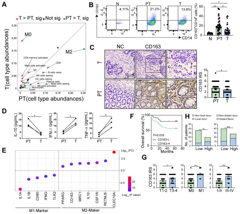 https://cdn.ncbi.nlm.nih.gov/pmc/blobs/25b7/12316027/5d68cfc0d624/thnov15p7709g001.jpg