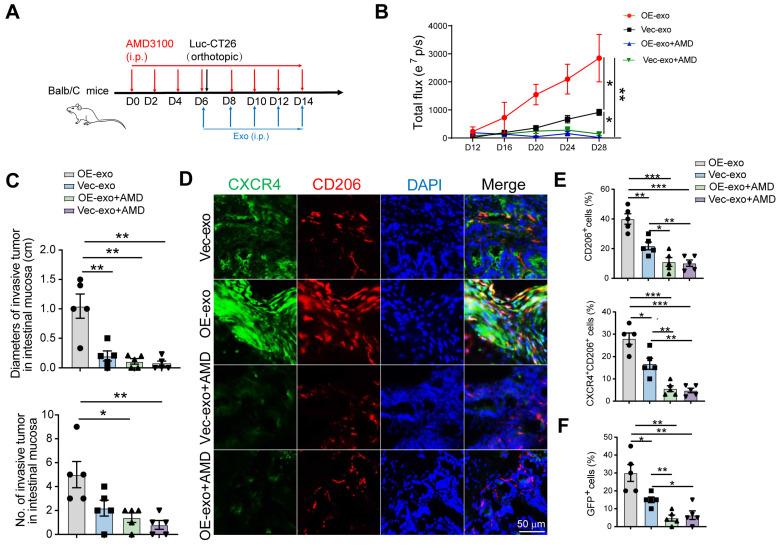 https://cdn.ncbi.nlm.nih.gov/pmc/blobs/25b7/12316027/a0688064e2d0/thnov15p7709g006.jpg