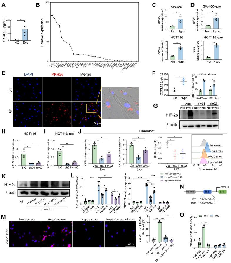 https://cdn.ncbi.nlm.nih.gov/pmc/blobs/25b7/12316027/ce8a2d8ec57d/thnov15p7709g004.jpg