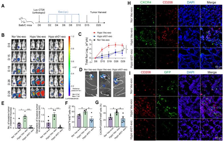 https://cdn.ncbi.nlm.nih.gov/pmc/blobs/25b7/12316027/d5c1669b0773/thnov15p7709g005.jpg
