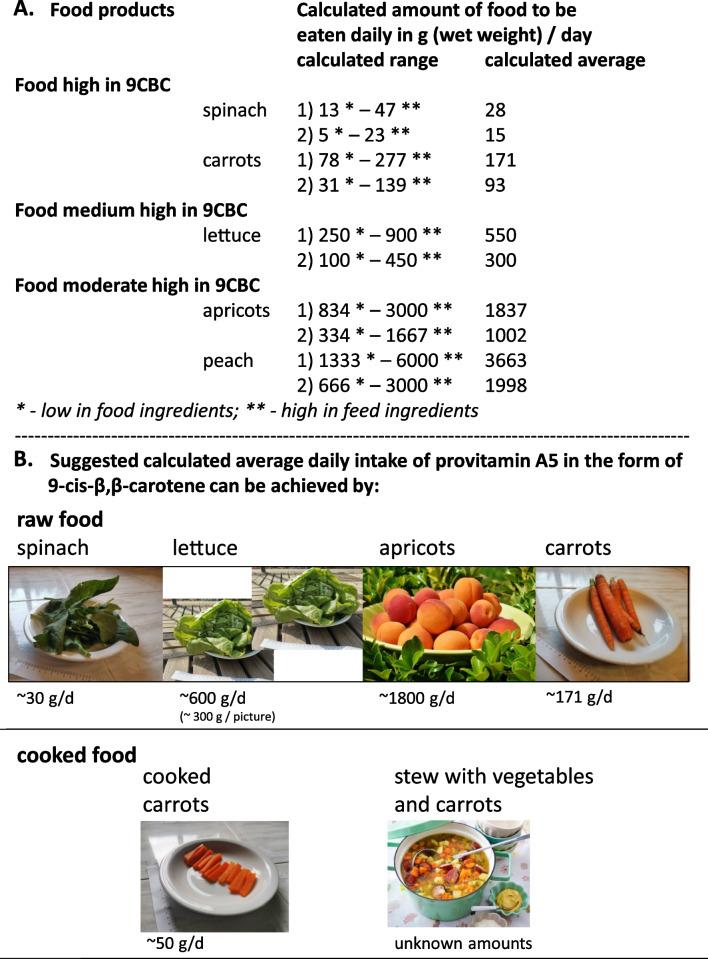 https://cdn.ncbi.nlm.nih.gov/pmc/blobs/25b8/10426203/a829db7221c1/12986_2023_750_Fig7_HTML.jpg
