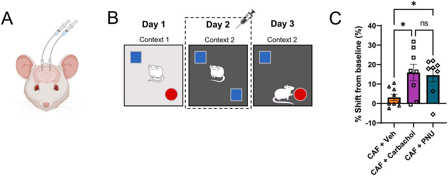 https://cdn.ncbi.nlm.nih.gov/pmc/blobs/25b8/11033683/ad2697773064/nihms-1980163-f0006.jpg