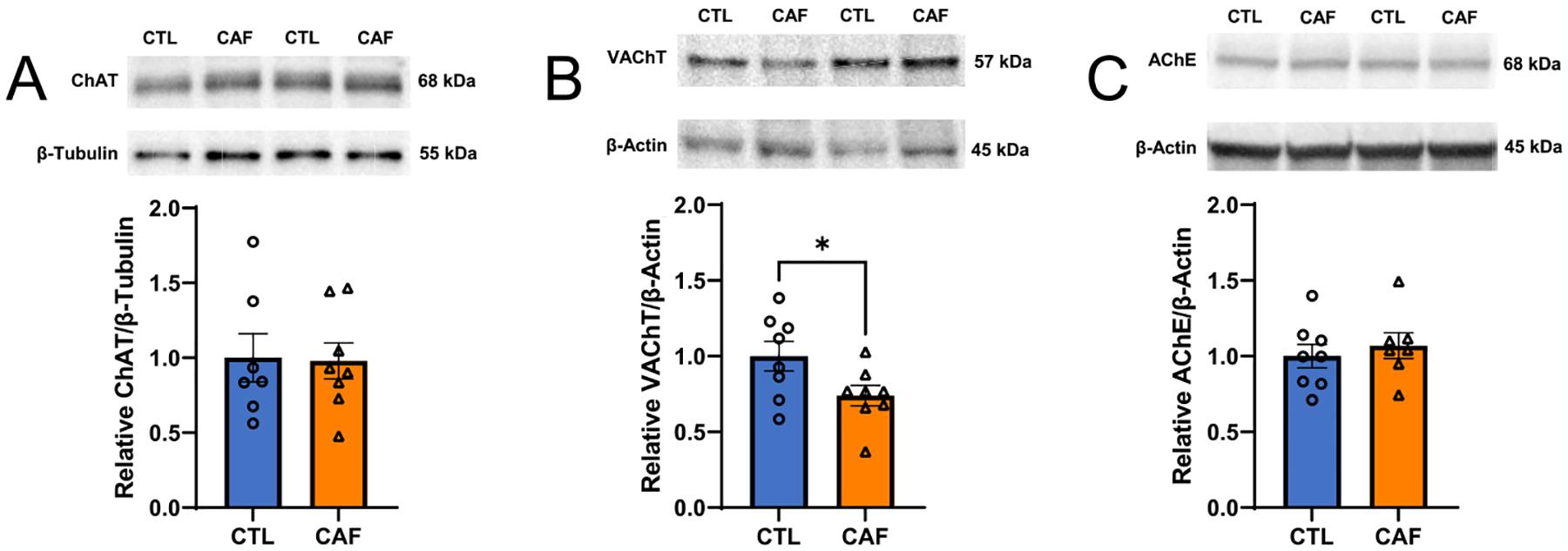 https://cdn.ncbi.nlm.nih.gov/pmc/blobs/25b8/11033683/c1eb4c4c2a82/nihms-1980163-f0004.jpg