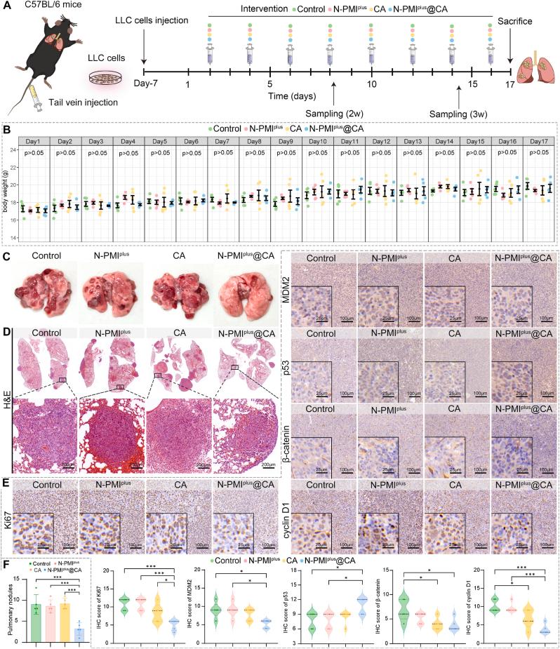 https://cdn.ncbi.nlm.nih.gov/pmc/blobs/25b8/12320182/b37bad90a33a/gr6.jpg